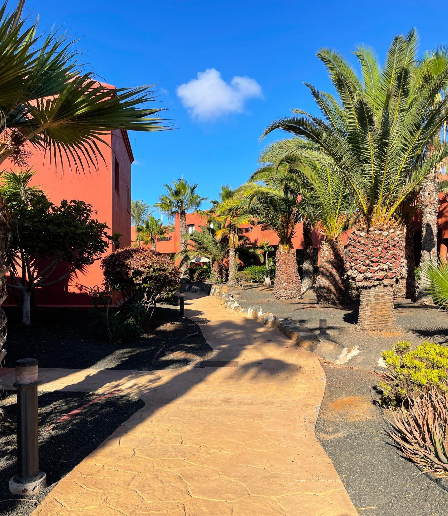 Oasis Tamarindo By Best Holidays Fuerteventura Корралехо Екстер'єр фото