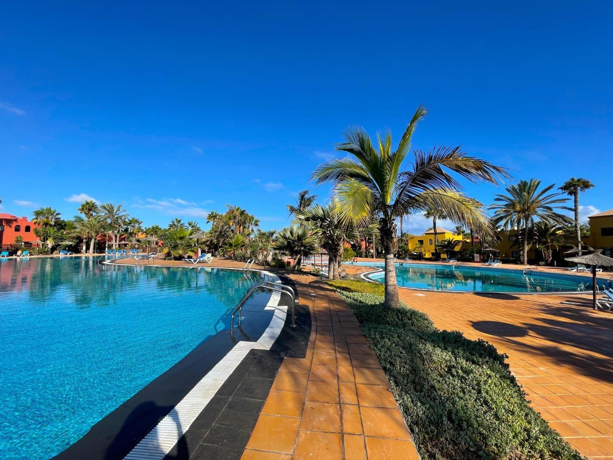 Oasis Tamarindo By Best Holidays Fuerteventura Корралехо Номер фото